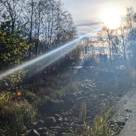 Lägenhet Nyc In *